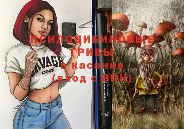 СК Бородино